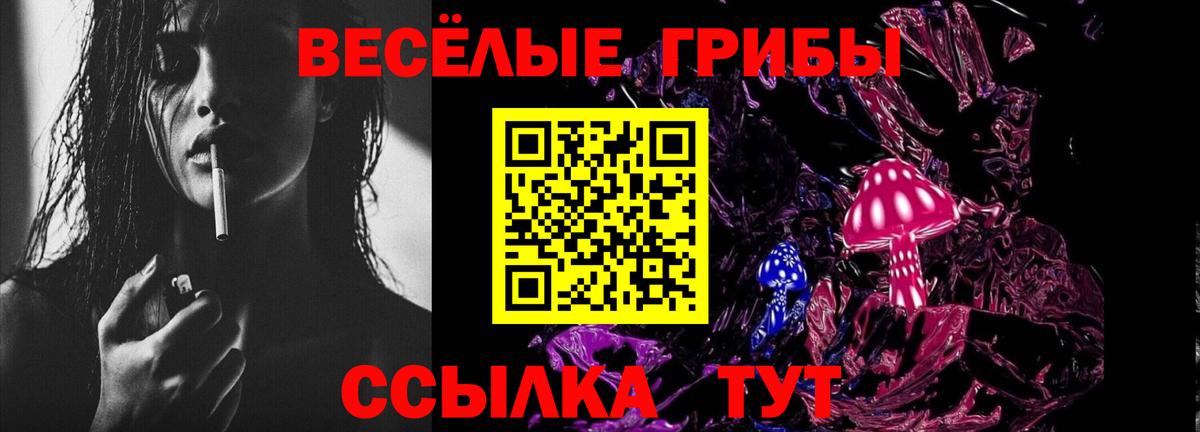Галлюциногенные грибы Psilocybine cubensis Нижний Новгород